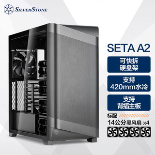 银昕（SilverStone）星斗SETA A2黑色全塔E-ATX机箱(背插主板/NAS多存储/多达10个硬盘位/420mm水冷/Type-C)