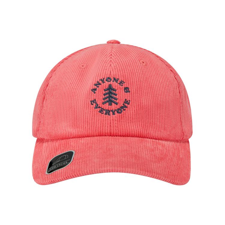 男女秋冬户外防风防晒弯檐棒球帽