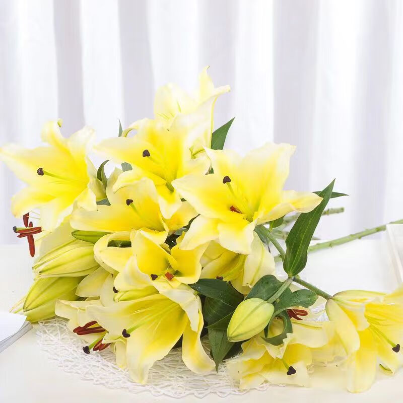 沭之美漳州水仙种球室内水培花卉阳台绿植盆栽耐寒水仙花 百合黄色种球5个+敞口塑料盆