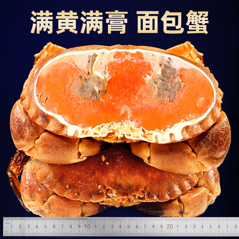 面包蟹超大母帝王蟹鲜活熟冻大螃蟹新鲜海蟹海鲜水产黄金蟹珍宝蟹