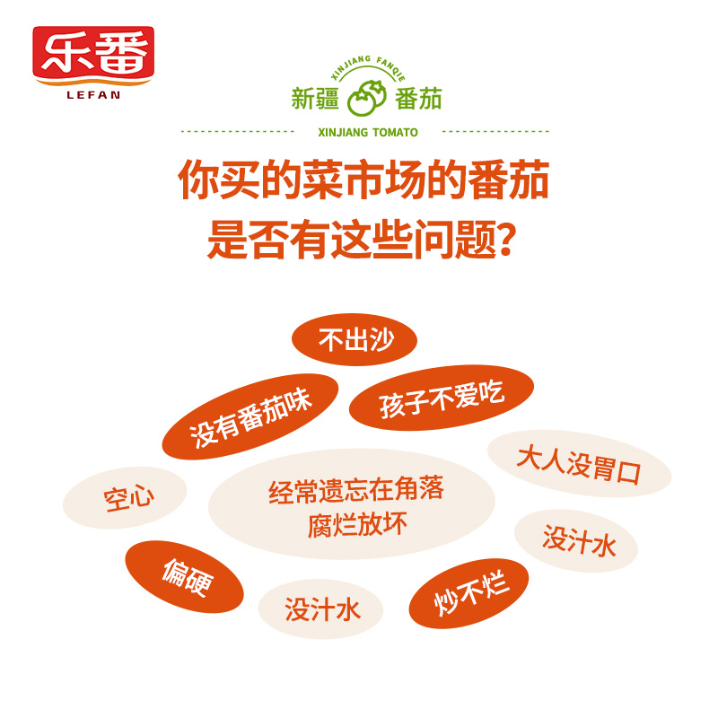 乐番番茄丁400g家用无添加剂新疆西红柿番茄罐头0脂肪自然成熟