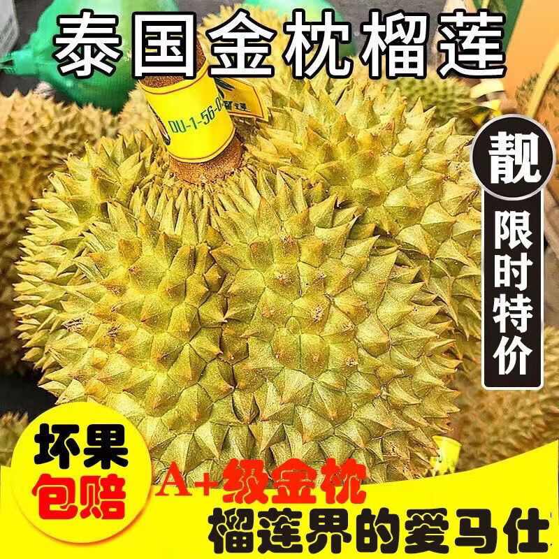 时茂金枕榴莲泰国进口巴掌榴莲金枕头新鲜水果整个带壳现货 净重2-3斤（一个装）