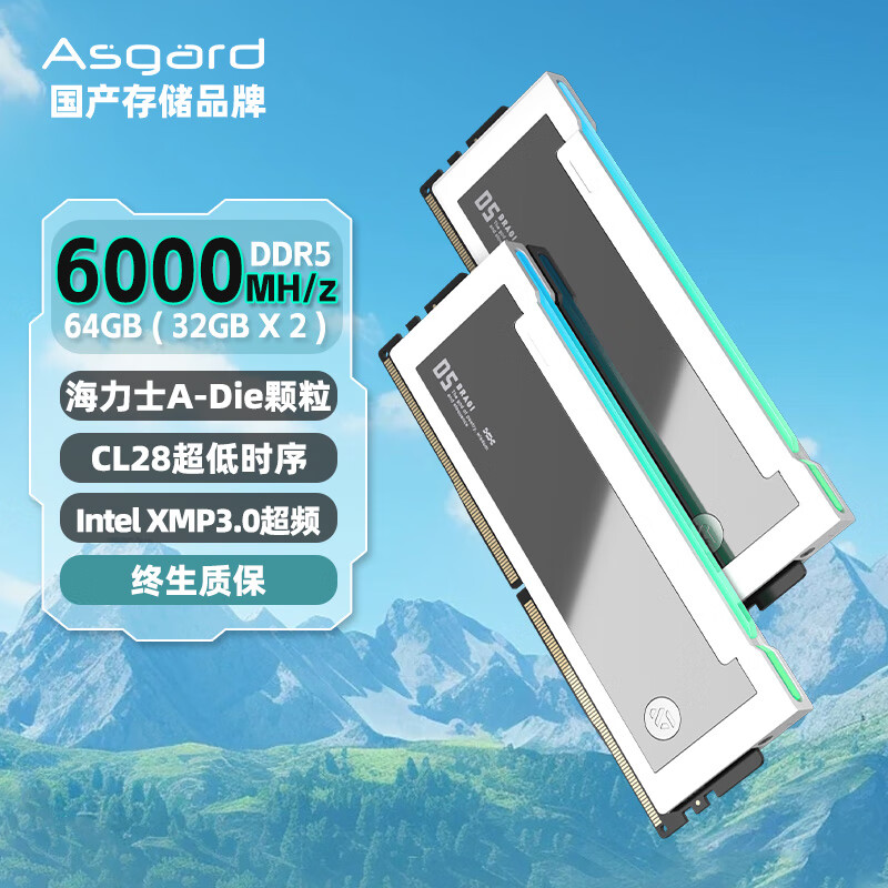 阿斯加特（Asgard）64GB(32Gx2)套 DDR5 6000 台式机内存条 RGB灯条-博拉琪Ⅱ代【C28】极地白