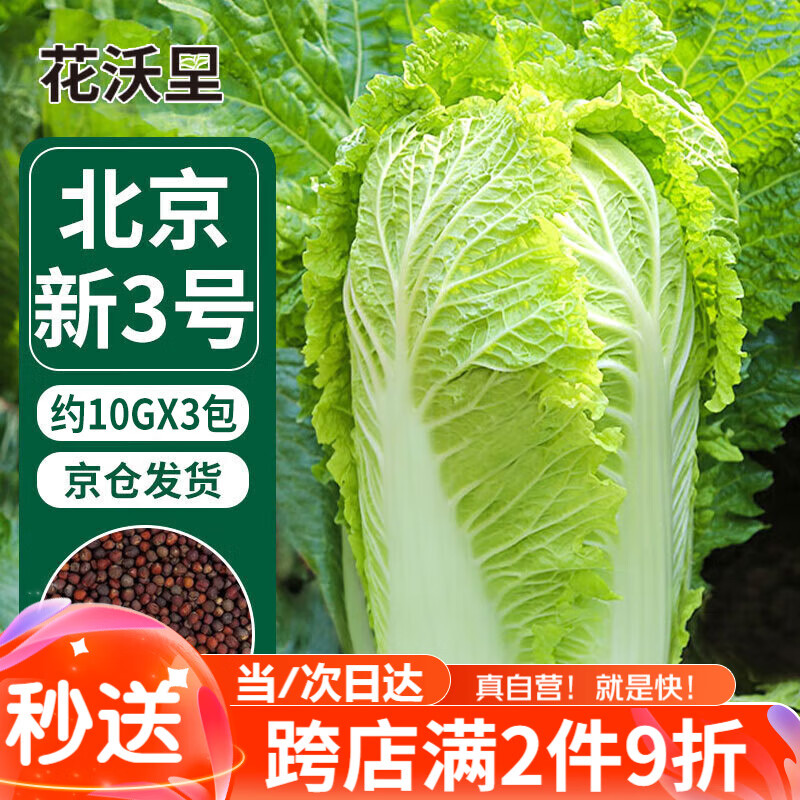 花沃里北京新三号大白菜种子10g*3包 蔬菜种子秋冬四季萝卜种子庭院田间