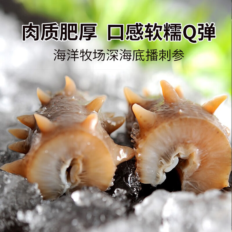老尹家淡干海参冬季滋补5年深海底播刺参 年货  *1盒