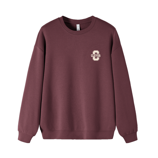 25年春季加绒加厚保暖舒适圆领卫衣女简约百搭宽松显瘦套头衫女