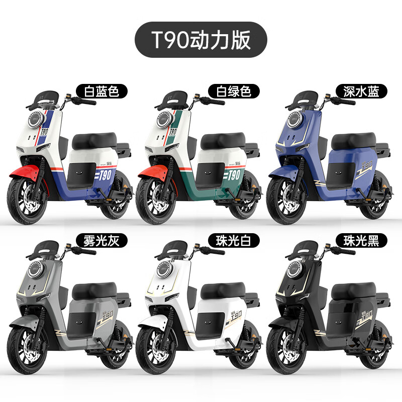 粤池久深远T90动力版电动车新国标外卖专用长跑爬坡王电瓶车联名