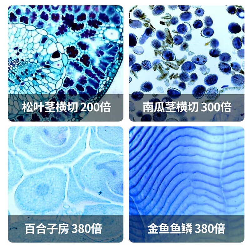 当当狸显微镜便捷式智能光学倍放大手机显微镜手持式电子儿童显微镜 M1C