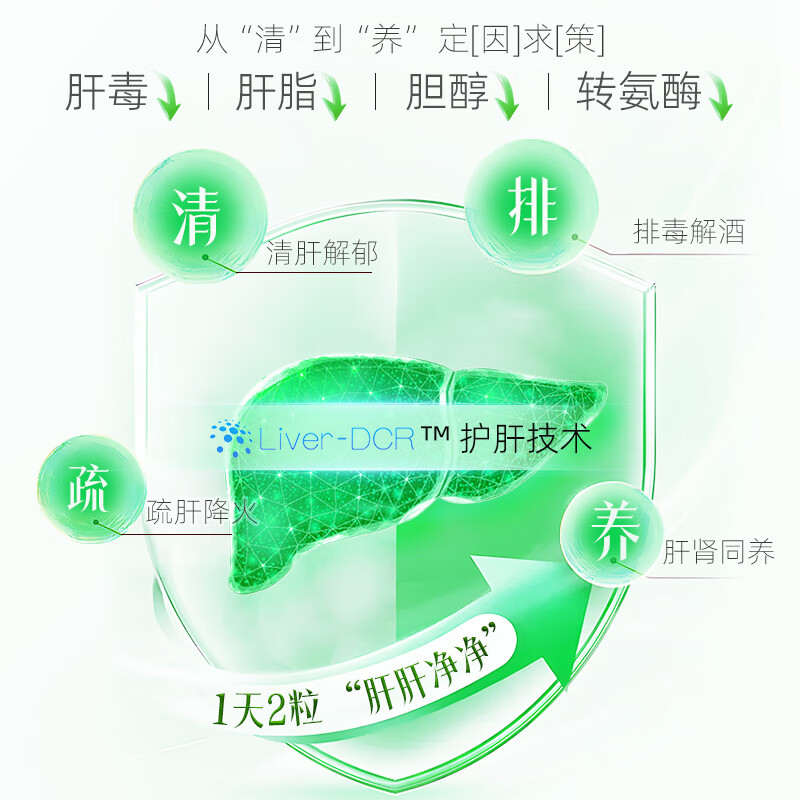 KNC肝益莱 肝易清 护肝片宝胶囊降转氨酶清脂肪肝解酒水飞蓟宾奶蓟草