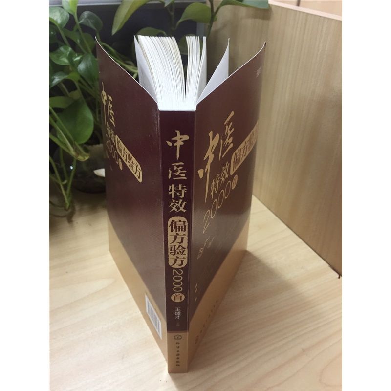 中医T效偏方验方2000首 偏方秘方大全 小偏方老偏方 中医