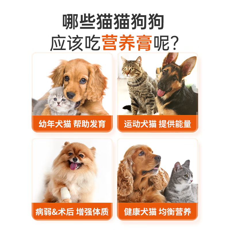 红狗（reddog）营养膏 宠物狗狗猫咪幼犬营养膏微量元素维生素鱼油怀孕金毛泰迪 营养膏10g*12支