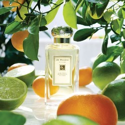 JO MALONE 祖·玛珑 青柠罗勒与柑橘 古龙淡香水 100ml 