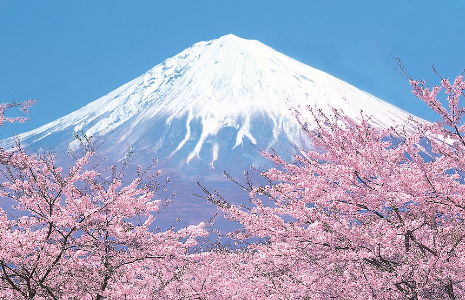 上海-东京+富士山5日4晚自由行