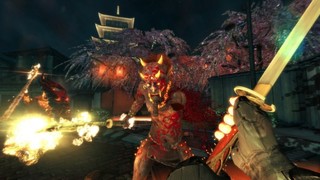  《Shadow Warrior（影武者）》 PC数字版游戏