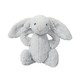  jELLYCAT 邦尼兔 经典害羞系列 毛绒公仔 中号31cm　