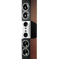Dynaudio 丹拿 EVIDENCE MASTER 大证据 多媒体音箱 玫瑰木