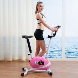 SUNNY HEALTH & FITNESS SF-P8200 家用磁控单车