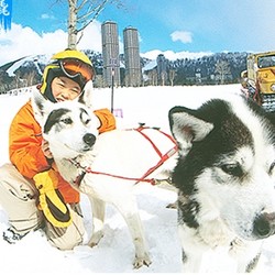 日本北海道星野TOMAMU度假村塔娃大酒店1晚