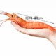 大洋世家阿根廷船冻红虾10/20[原装进口 2000g 20-40只/盒装]