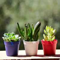 释放工作压力,轻松快乐生活! 压力管理方法与技