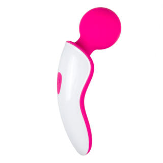 EasyToys Online Only 迷你震动棒
