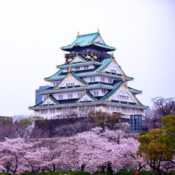 全日空/南航/日航 广州/深圳直飞日本多地5-7天往返含税机票