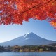 中文导游：日本东京-富士山 拼车一日游