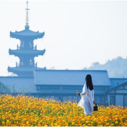 无锡灵山拈花湾禅意客栈1晚+拈花湾门票+抄经体验