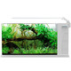 鱼之宝（Fish treasure）鱼缸水族箱高透明玻璃免换水开放式生态LED灯金鱼缸水草缸 CK410 小号+凑单品