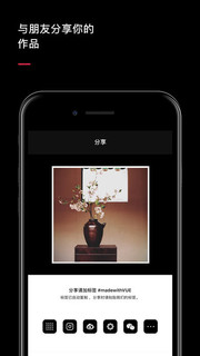  《VUE（视频编辑器）》 ios软件