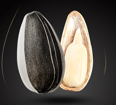 必囤年货: 洽洽 皇葵瓜子礼盒装 110g*5袋*3件