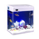 闽江 鱼缸水族箱玻璃金鱼缸LED灯触控小彩缸 MJ-M260