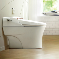 American Standard 美标 CEAS5392 自动一体智能坐便器