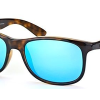 Ray·Ban 雷朋 Andy系列 RB4202 偏光 中性款 太阳镜