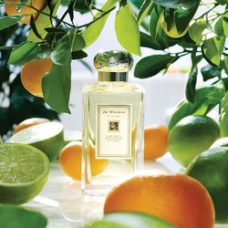 JO MALONE 祖·玛珑 青柠罗勒与柑橘 古龙淡香水 100ml