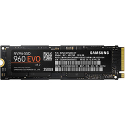 三星(SAMSUNG) 960 EVO 250G M.2 NVMe 固态硬盘