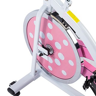 SUNNY HEALTH&FITNESS P8100/SF-B1203 家用动感单车