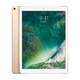 绝对值：Apple 苹果 iPad Pro 12.9英寸 64GB 平板电脑（2017款）WLAN版 金色  MQDD2CH/A