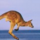飞猪1周年：南方航空 全国多地-澳大利亚5地7-30天往返含税机票