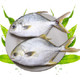 国联(GUO LIAN) 冷冻金鲳鱼 700g 2条 火锅食材 海鲜水产