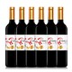 西班牙进口DO级红酒 宜兰树 卡布拉沃 Caballo Bravo 红葡萄酒750ml *6瓶