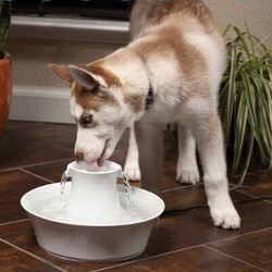 PetSafe 贝适安 Drinkwell 陶瓷宠物喷泉自动循环饮水机