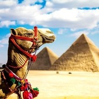 尾单特惠：广州-埃及旅游深度10天跟团游