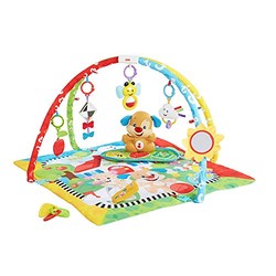 Fisher Price 费雪 FFX82 皮皮欢乐学习健身器