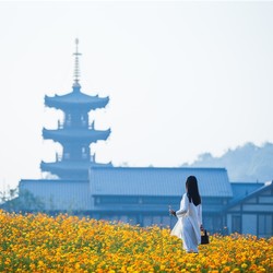 无锡灵山小镇拈花湾拈花客栈1晚+早晚餐+拈花湾门票2张