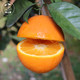 橙王哥 赣南脐橙 10斤 单果 150-210g