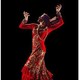 西班牙玛利亚·佩姬舞蹈团弗拉明戈舞剧《心灵之舞》  北京站