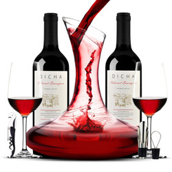 智利原瓶进口红酒 迪琴 （DICHA）干红葡萄酒 750ML*2 瓶 双支装 *2件