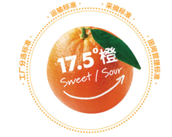 农夫山泉17.5°橙 赣南脐橙 5kg装 钻石果 新鲜橙子 生鲜自营水果礼盒 *3件