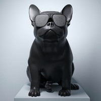 黑五必看：Jarre AeroBull HD 大号斗牛犬 无线蓝牙音响